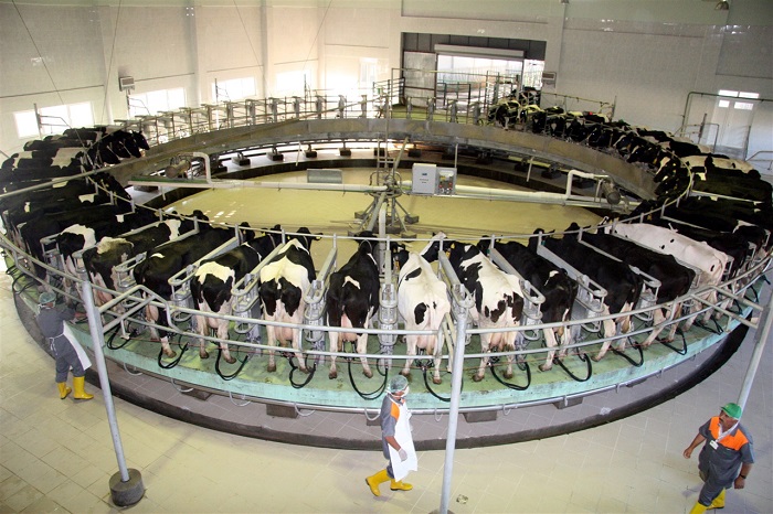 Türk süt ürünleri sektörüne dünyanın en kalabalık nüfusuna sahip Çin pazarının kapıları açıldı