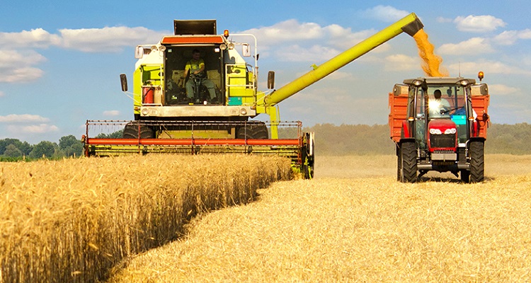 Türkiye buğday ithalatı ve unlu mamul ürünlerdeki ihracatta dünya birinciliğine oynuyor