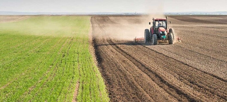 Tarımsal girdi fiyat endeksi’ne göre yıllık en fazla azalış veteriner harcamalarında oldu