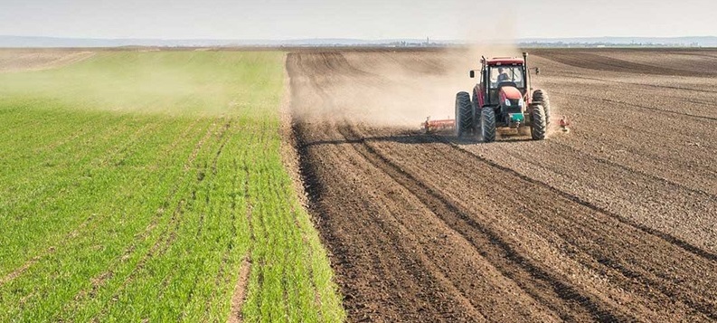 Tarımsal girdi fiyat endeksi’ne göre yıllık en fazla azalış veteriner harcamalarında oldu