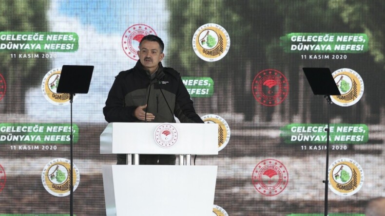 13 Bin futbol sahası büyüklüğünde alanda 13,8 milyon fidanı toprakla buluşturduk