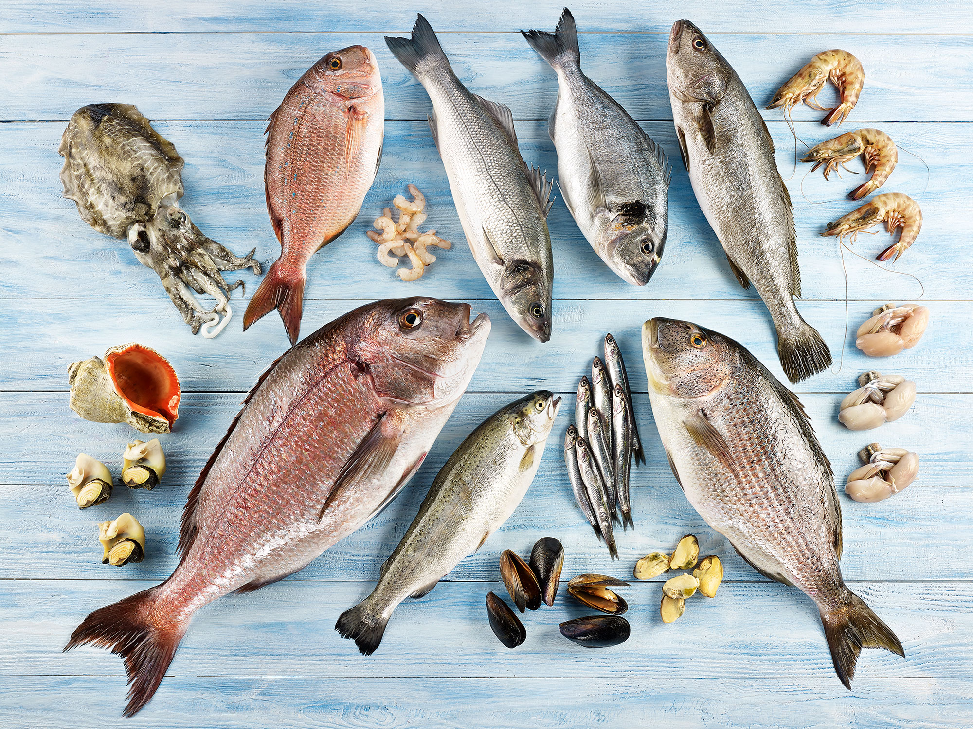 ‘Balık ve deniz ürünleri D vitamini açısından da en önemli besinlerden biri’