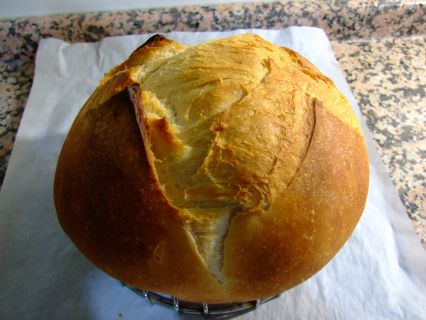 Evde Ekmek Yapma Tarifi araması, 2020’de dünyada en çok arananlarda 2. oldu!