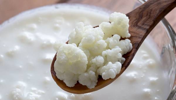 Bağışıklık dostu mucize içecek: Kefir