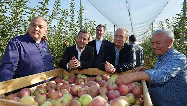 Rusya’ nın tarım ihracatından elde ettiği hasılat silah ihracatının üçte birine ulaştı