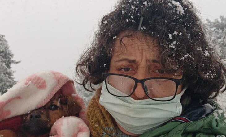 MUHTAR KÖPEKLERE SALDIRDI İDDİASI