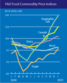 Gıda fiyatları Ocak ayında altı buçuk yılın zirvesine çıktı