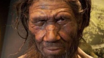 Neandertal beyninin insan beyninden daha hızlı olgunlaştı anlaşıldı