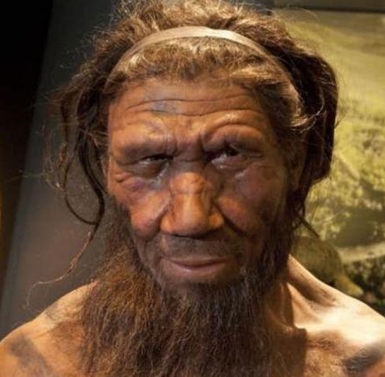 Neandertal beyninin insan beyninden daha hızlı olgunlaştı anlaşıldı