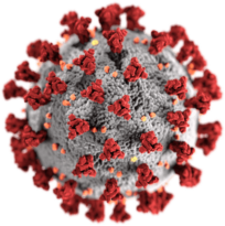 Dünyada Pandemi virüsüyle yaşamanın İlk Yılı Raporu-2