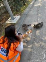 CHP’li gençler sokak hayvanlarını unutmadı