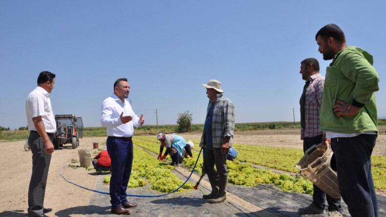 2021 dönemi kuru üzüm alım fiyatına tepkiler giderek büyüyor