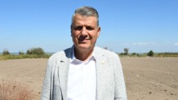 Buğday hasadında gözler TMO’ ya çevrildi