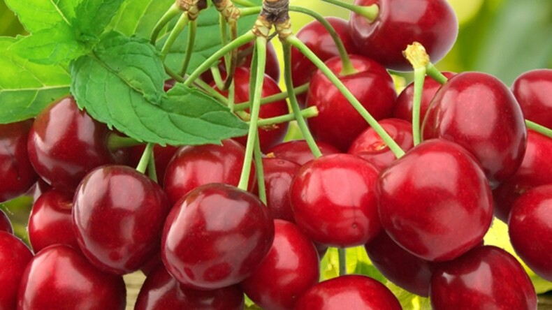 SANCAKLIBOZKÖY’DEN MÜJDELİ HABERLERE DEVAM…