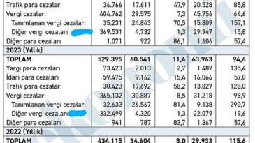 Bütçe Gelirlerinde Trafik Cezasındaki Artış Dikkat Çekici!