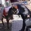 Türkiye’nin Eşekli Dostoyevski’si Ersin Bilge, 14 Bin Çocuğu Kitapla Buluşturdu