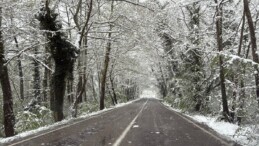 Bartın’daki ağaç tünel yol karla kaplandı
