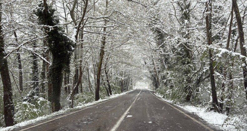 Bartın’daki ağaç tünel yol karla kaplandı