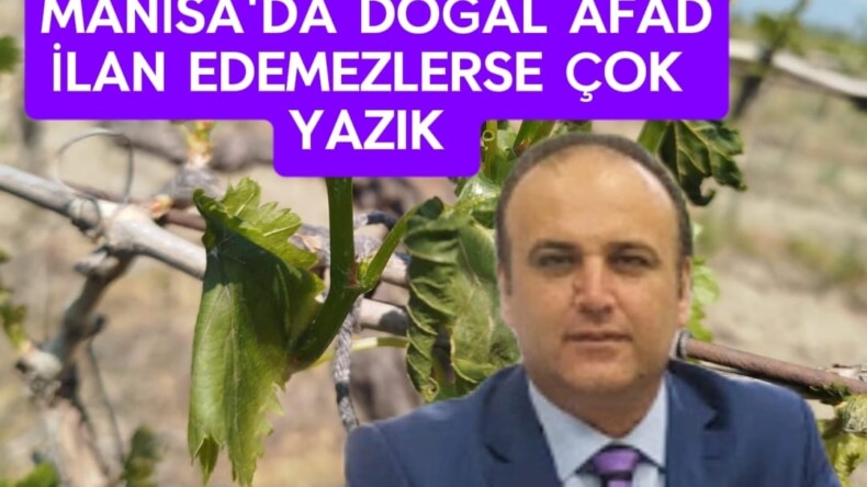 Manisalı Siyasiler Manisa’da Doğal Afad İlan Edemezlerse Çok Yazık