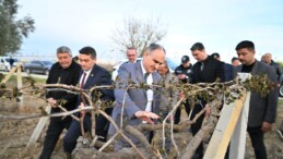 Manisa Valisi Özkan doğal afetin yaşandığı bağlara girdi