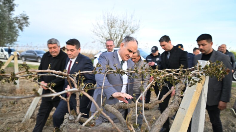 Manisa Valisi Özkan doğal afetin yaşandığı bağlara girdi