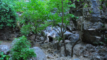 Manisa’da ‘saklı kanyon’ kurudu