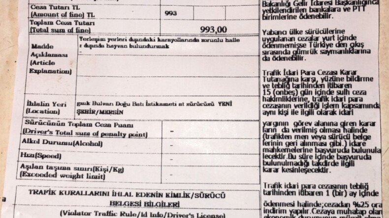 Mersin’de atla markete giden kişiye alkollü araç ve trafik cezası kesildi