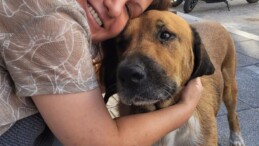 Mahallenin Sevimli Paşası Öğrencilere İlham Oldu