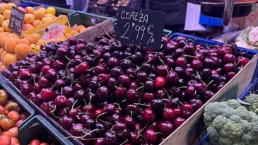 Turistler Bile Türkiye’deki Hayat Pahalılığından Şikayetçi!