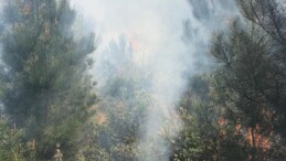 Orman Yangınları-Kader ve İş Güvenliği-4