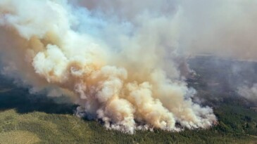 ORMAN KORUMA SEFERBERLİĞİ