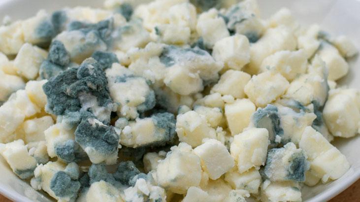 Bu besinleri buzluğa atan yandı! Anında bozuluyor, birkaç günden fazla tutmayın