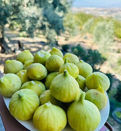 Manisa Su Platformu’ndan Tarım Üretiminde Önemli Uyarılar