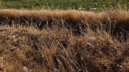 KIRMIZI PAZARTESİ-8 (VİCDAN VARSA UMUT DA VARDIR)