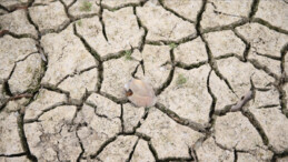 İç Anadolu ve Güneydoğu’da 65, Ege ve Marmara’da son 18 yılın en düşük ‘su yılı yağışları’