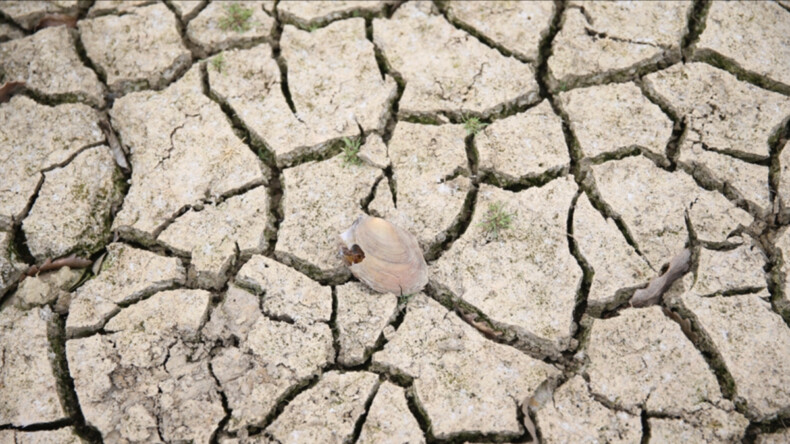 İç Anadolu ve Güneydoğu’da 65, Ege ve Marmara’da son 18 yılın en düşük ‘su yılı yağışları’