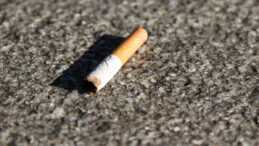 Almanya’da çevre kirliliğiyle mücadelede rekor cezalar: İzmarite 3 bin euro, moloza 100 bin euro