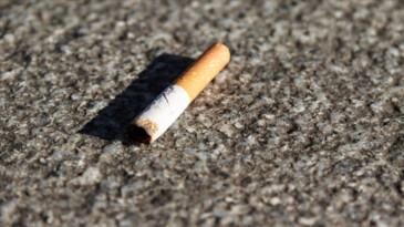 Almanya’da çevre kirliliğiyle mücadelede rekor cezalar: İzmarite 3 bin euro, moloza 100 bin euro