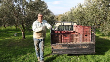 Hüseyin Pakdoğan, Beyaz Yakadan Zeytin Dalına, Çiftçiliğe Bakış Öyküsü