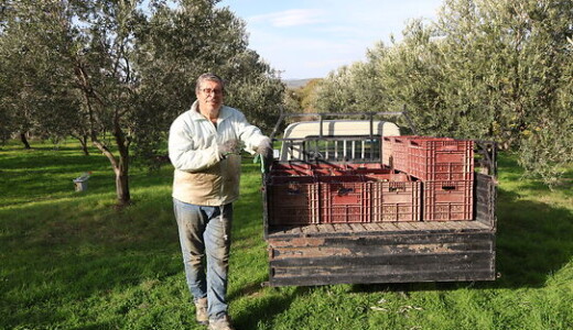 Hüseyin Pakdoğan, Beyaz Yakadan Zeytin Dalına, Çiftçiliğe Bakış Öyküsü