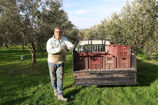 Hüseyin Pakdoğan, Beyaz Yakadan Zeytin Dalına, Çiftçiliğe Bakış Öyküsü