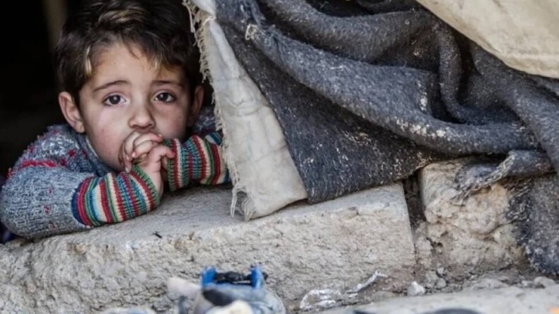 Camekanın Ardındaki Sessiz Hikaye