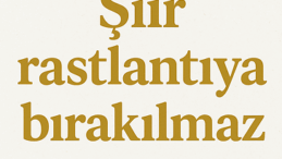 Şiir Rastlantıya Bırakılmaz