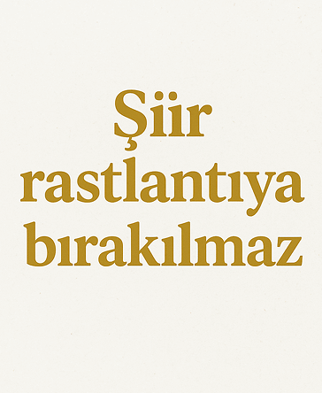 Şiir Rastlantıya Bırakılmaz