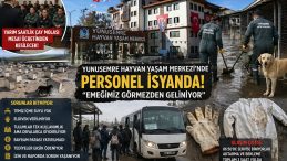 Manisa’da Hayvan Yaşam Merkezi Personelleri Sıkıntıda