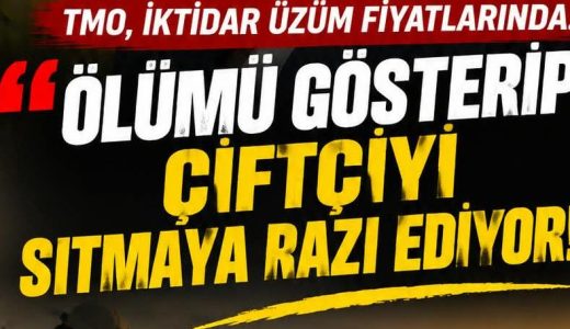 Üzüm Fiyatlarında Ölümü Gösterip Çiftçiyi Sıtmaya Razı Ediyorlar!!!