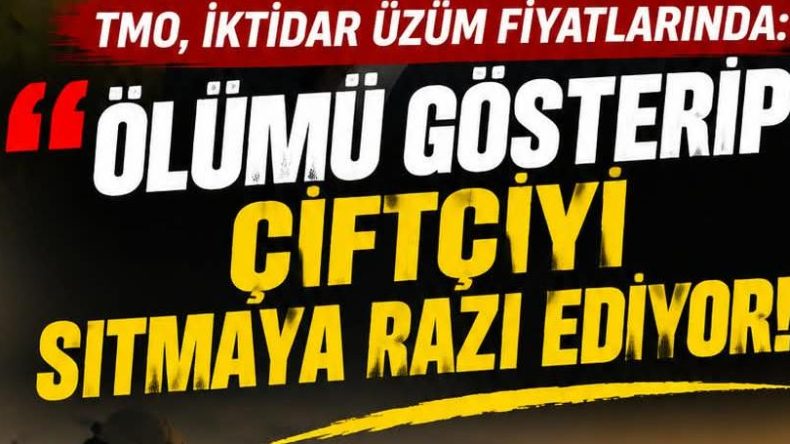 Üzüm Fiyatlarında Ölümü Gösterip Çiftçiyi Sıtmaya Razı Ediyorlar!!!