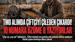 ÜZÜM ÜRETİCİSİNİN TMO ÇİLESİ BÜYÜYOR!