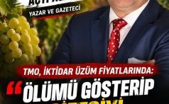 TMO, İKTİDAR ÜZÜM FİYATLARINDA: ÖLÜMÜ GÖSTERİP ÇİFTÇİYİ SITMAYA RAZI EDİYOR!!!