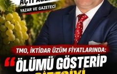 TMO, İKTİDAR ÜZÜM FİYATLARINDA: ÖLÜMÜ GÖSTERİP ÇİFTÇİYİ SITMAYA RAZI EDİYOR!!!